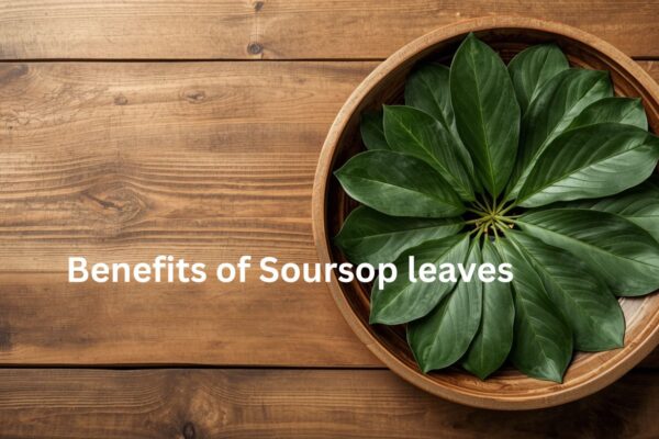 Soursop leaves